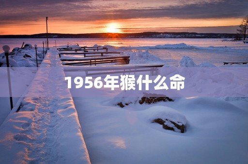1956年猴什么命
