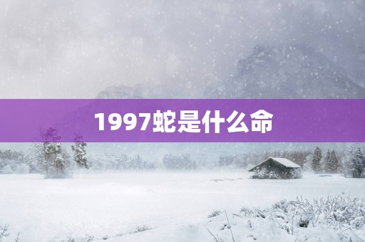 1997蛇是什么命