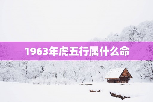 1963年虎五行属什么命