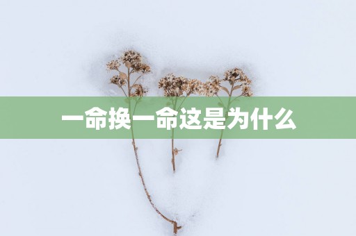 一命换一命这是为什么