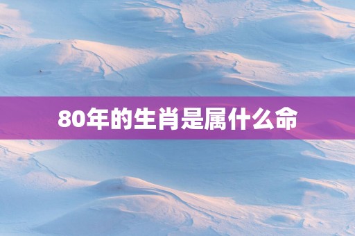 80年的生肖是属什么命
