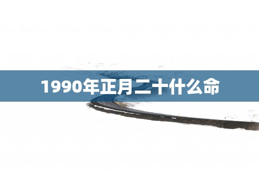 1990年正月二十什么命