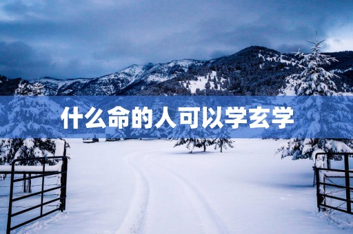 什么命的人可以学玄学