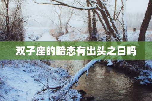 双子座的暗恋有出头之日吗