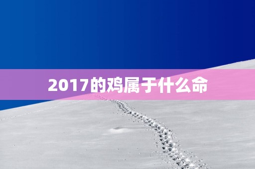 2017的鸡属于什么命
