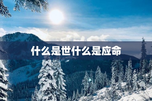 什么是世什么是应命