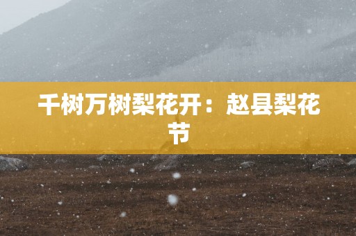 千树万树梨花开：赵县梨花节