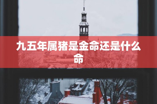 九五年属猪是金命还是什么命