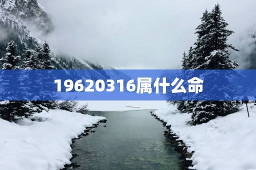 19620316属什么命