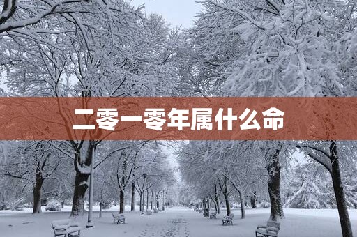 二零一零年属什么命