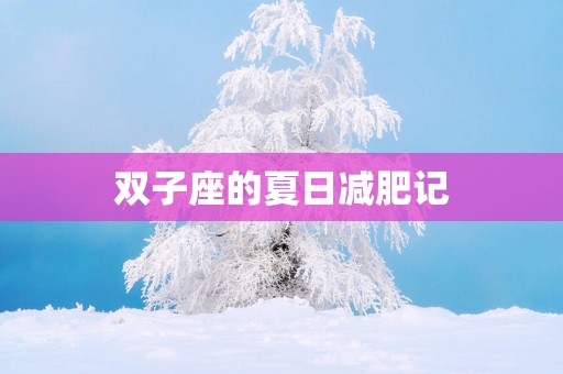 双子座的夏日减肥记