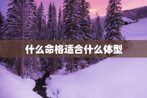 什么命格适合什么体型