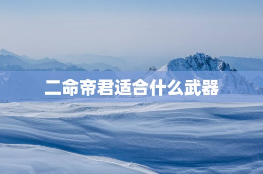 二命帝君适合什么武器