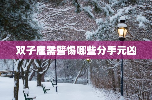 双子座需警惕哪些分手元凶