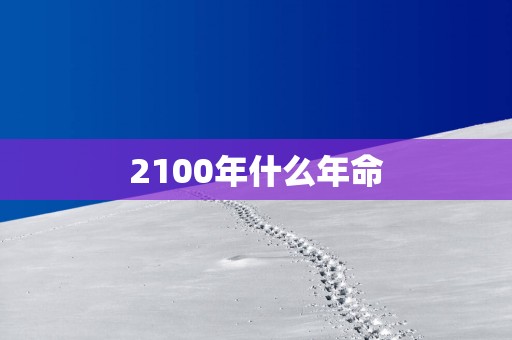 2100年什么年命
