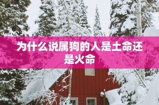 为什么说属狗的人是土命还是火命