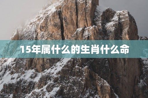 15年属什么的生肖什么命