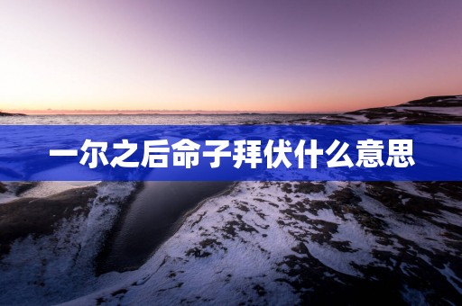 一尔之后命子拜伏什么意思