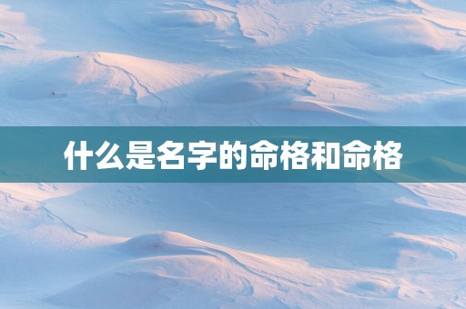 什么是名字的命格和命格