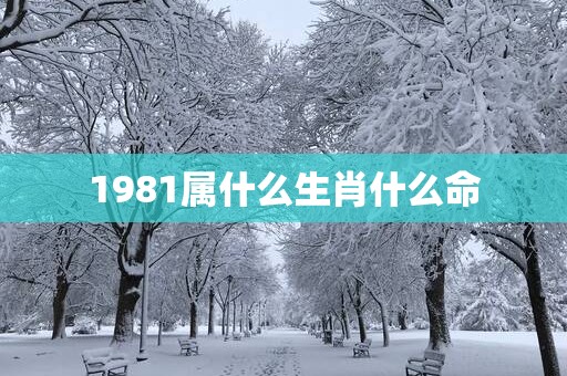 1981属什么生肖什么命