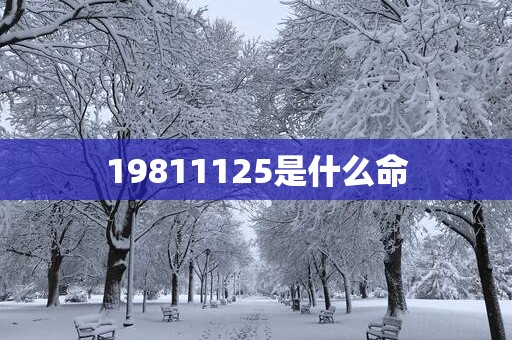 19811125是什么命