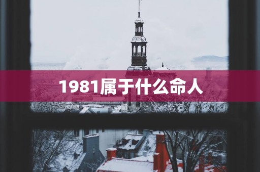 1981属于什么命人