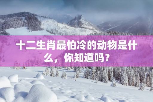 十二生肖最怕冷的动物是什么，你知道吗？