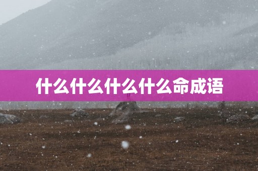 什么什么什么什么命成语