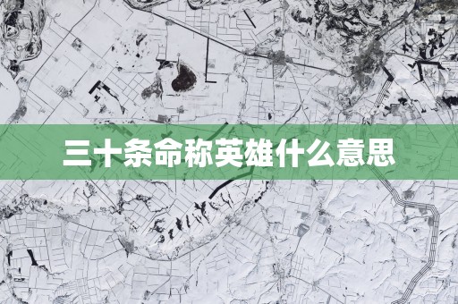 三十条命称英雄什么意思