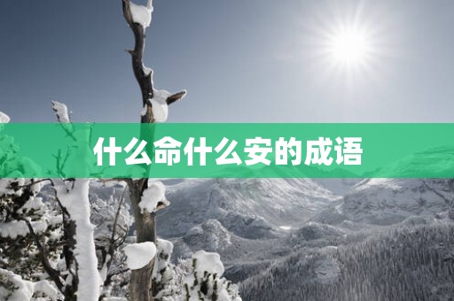 什么命什么安的成语