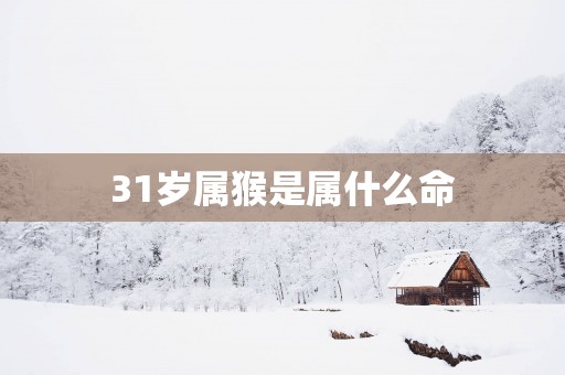 31岁属猴是属什么命