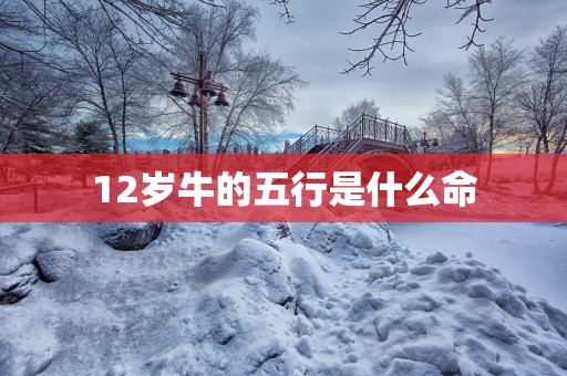 12岁牛的五行是什么命