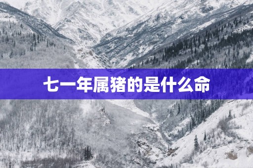 七一年属猪的是什么命