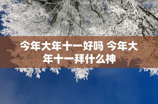 今年大年十一好吗 今年大年十一拜什么神