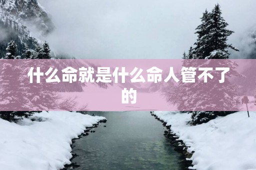 什么命就是什么命人管不了的