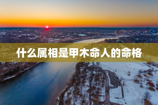 什么属相是甲木命人的命格