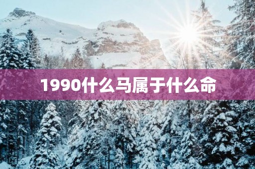 1990什么马属于什么命