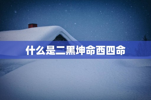 什么是二黑坤命西四命