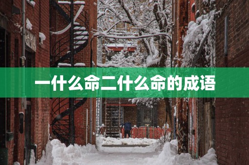 一什么命二什么命的成语