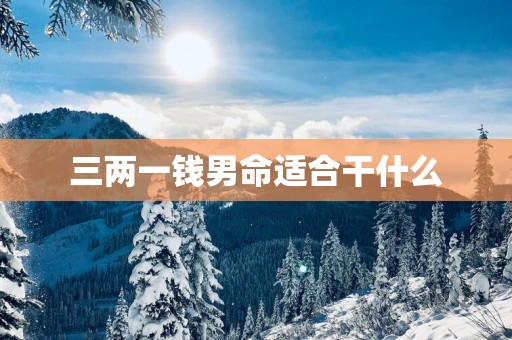 三两一钱男命适合干什么