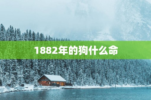 1882年的狗什么命