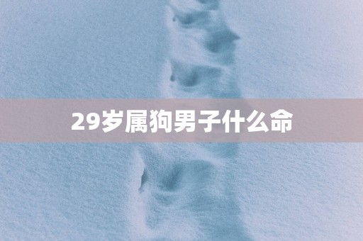 29岁属狗男子什么命