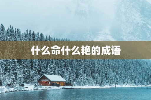 什么命什么艳的成语