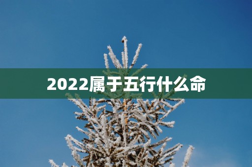2025属于五行什么命