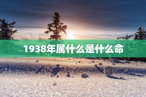 1938年属什么是什么命