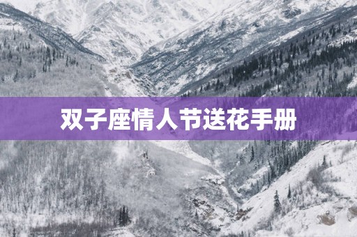 双子座情人节送花手册
