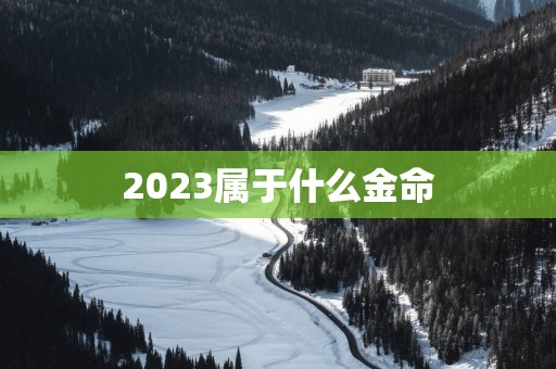 2025属于什么金命