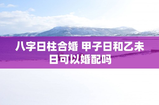 八字日柱合婚 甲子日和乙未日可以婚配吗