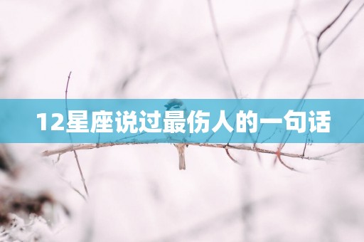 12星座说过最伤人的一句话
