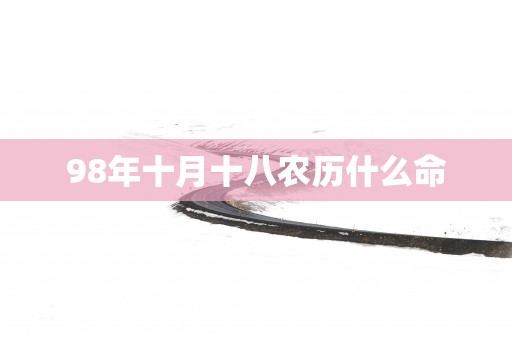 98年十月十八农历什么命